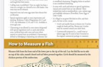 Red River Retreat - Foto 40