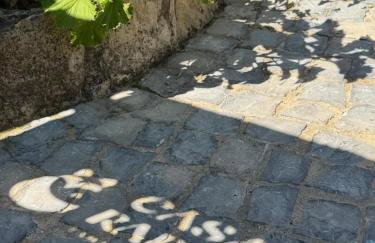 Casa das Raposas - Refúgio - Foto 1