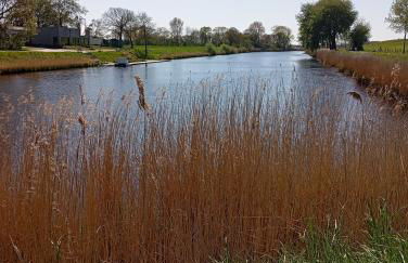 KüstenMuschel - Foto 46