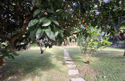 La Civetta, a 15 minuti dal mare di Otranto - Foto 10