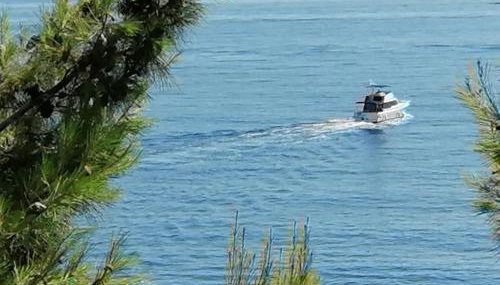 Apartments Misini Dvori - Foto 4