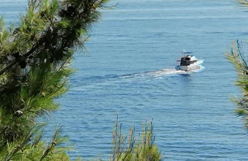 Apartments Misini Dvori - Foto 4