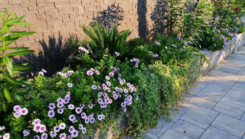 Villas A & N - Photo 2, Garden