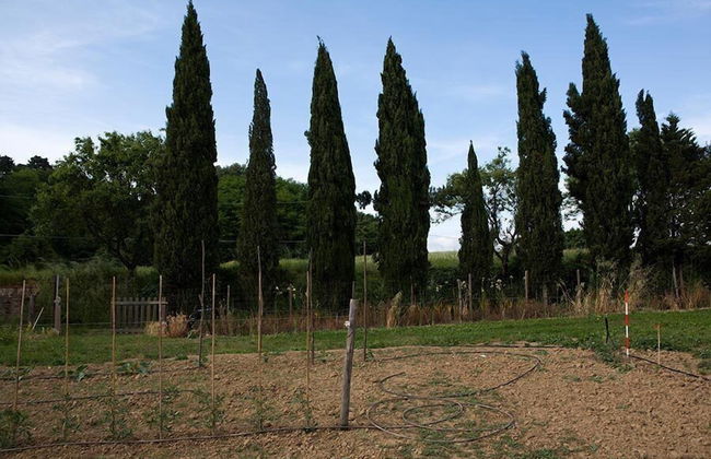 Agriturismo La Topaia - Foto 22