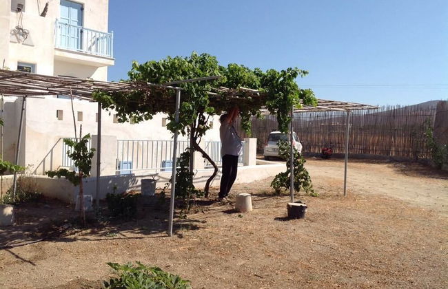 Kastraki Dream near the beach - Foto 68