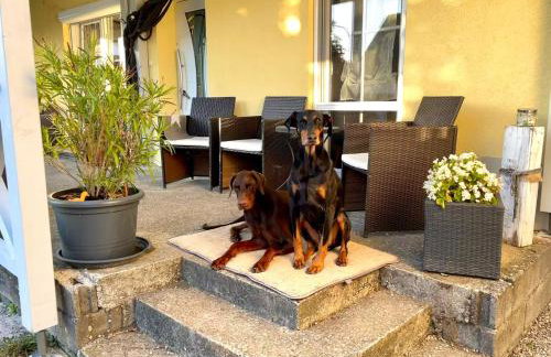 Ferienwohnung Toja - Foto 38