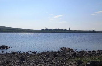 Butterflies Rest - Foto 43