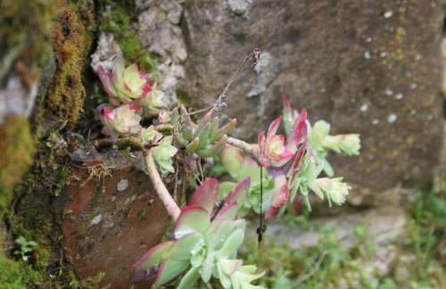 Casa Vacanze Le Antiche Pietre - Foto 39