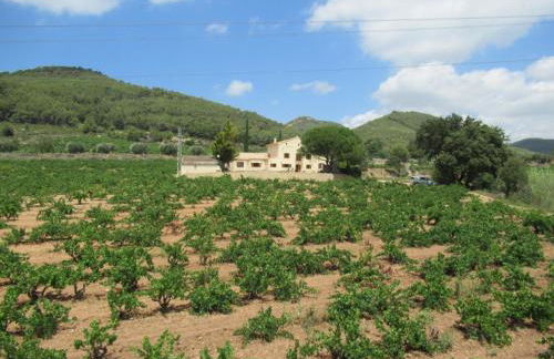 Casa Rural Cal Martí - Foto 35