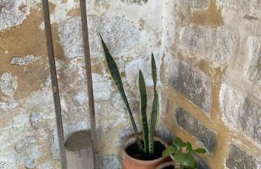 Casa do Muro Alto - Foto 69