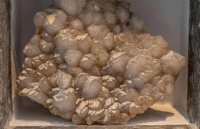 Lindenhof Michaelis - Foto 66