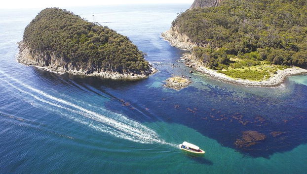 Bruny Island Cruise - Photo 2