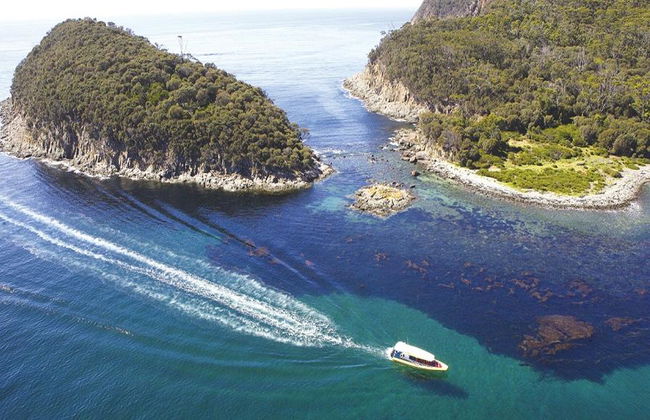 Bruny Island Cruise - Photo 2