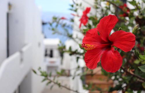 Casa Lina Sardina - Foto 37