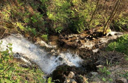 the nest ~ Your best rest - Foto 23