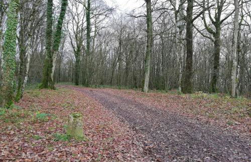 Modern holiday home in Crux-La-Ville with terrace - Foto 66