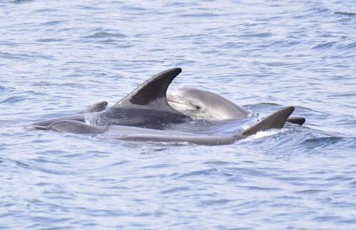 Pirnmill Home with a view - Photo 10