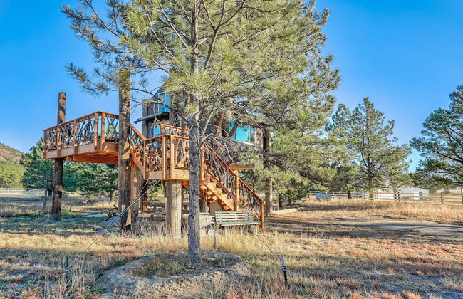 Tree Deer Blind - Foto 27