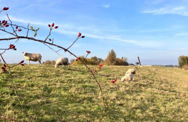 Lindas Diekblick, ! 2 Schlafzimmer!EG mit Terrasse - Foto 23