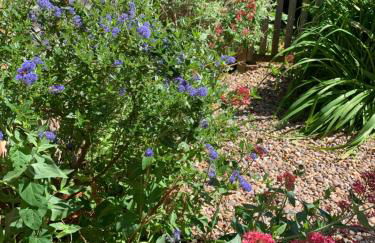 The White Barn near Cambridge - Foto 51