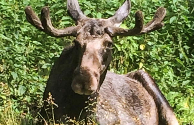 5 Person Holiday Home in Hedekas - Foto 11