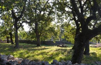 Villa Leopoldo by Istrian Country Houses - Photo 57