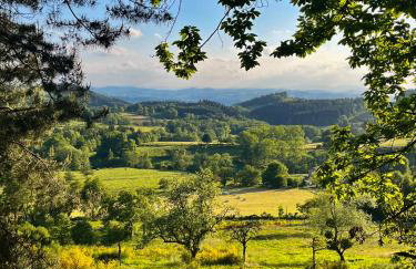 La Forêt suspendue - Gîte nature sur 9ha - option Spa avec vue panoramique - Foto 25