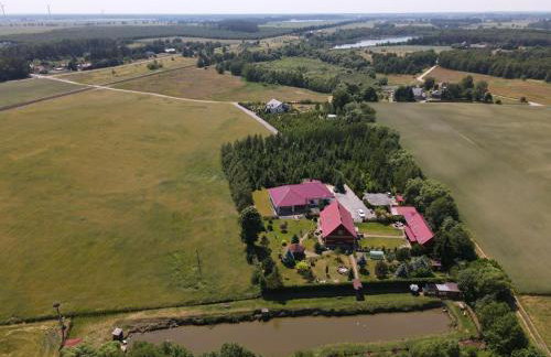 Agro na Wapniarni - Foto 71