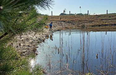 Agroturystyka "Apartament na wsi" Bory Tucholskie - Foto 22