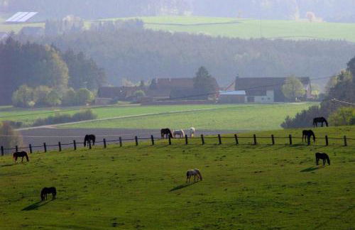 Haus Hollerbusch - Foto 34
