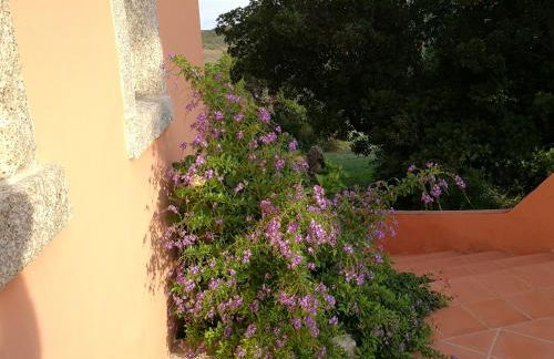 Country House Vignola Mare - Photo 29