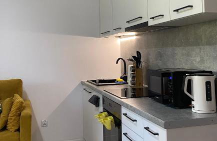 Apartamenty Fredry - Foto 24