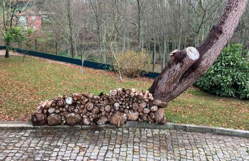 Quinta do Tojal - Tourism immersed in nature! - Foto 10