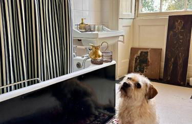 CRESSY HALL - Historic Grade II Listed Manor, Gorgeous Topiary Garden - Foto 15