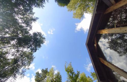 Dom Suwalszczyzna - Photo 36