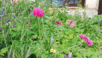 Your Suite Runkel - Runkel, you're sweet! - Photo 3, Garden