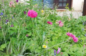 Your Suite Runkel - Runkel, you're sweet! - Photo 3