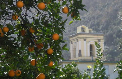 Casa De Angelis Orange & Blue - Foto 33