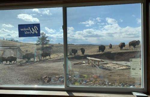 Buffalo Cabin - Foto 49