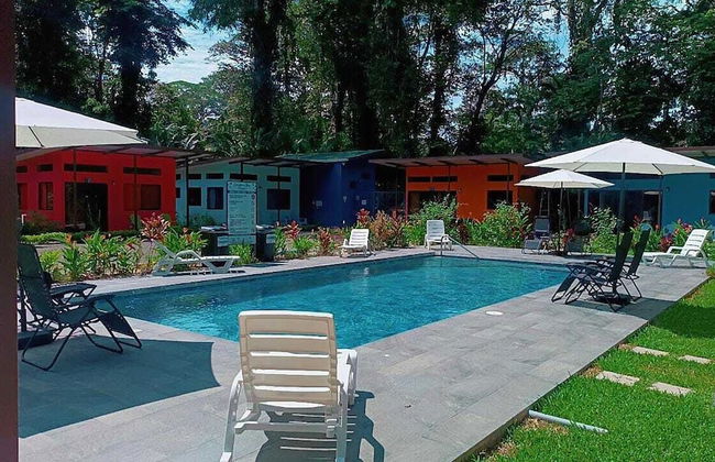 Caribbean Blue Morpho - Foto 21