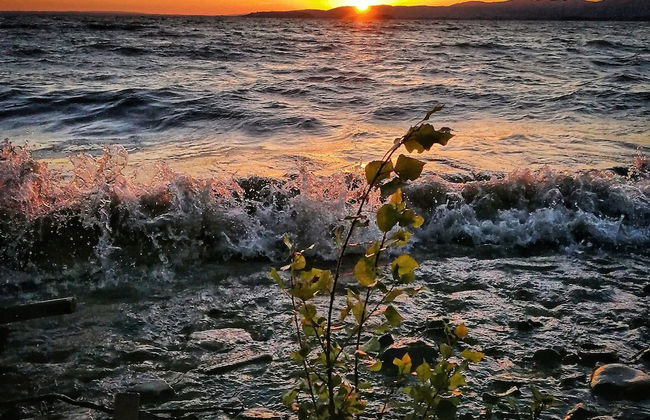 Agriturismo Casa Greppo - Il Mandorlo - Foto 78