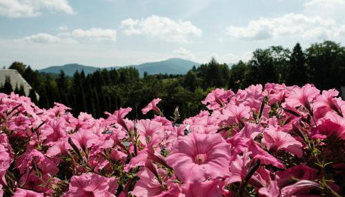 Dom Malowany - Domki - Foto 2