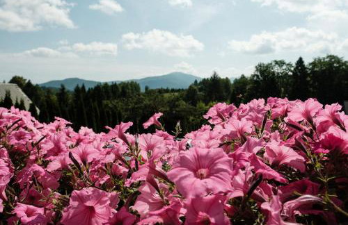 Dom Malowany - Domki - Foto 2