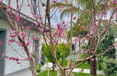 Angolo paradiso - Foto 21