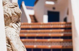 Algarrobo Azul - Photo 17