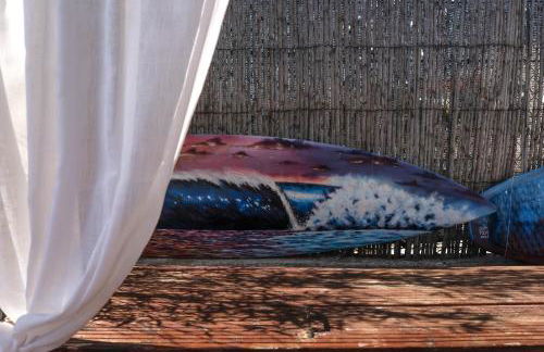 João Jungle - Foto 48