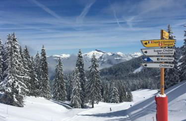 Chalet Etoile - Foto 13