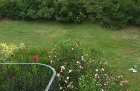 Rifugio della Pace Piano terra e Primo Piano - Photo 40