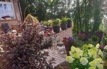 Mała Garda - Foto 37