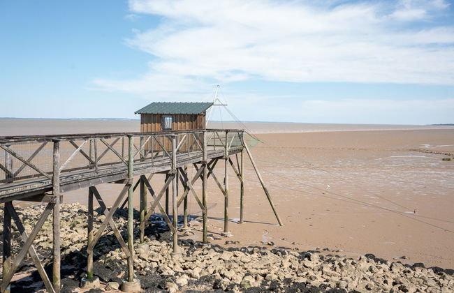 Les Alcyons T2 - Foto 22